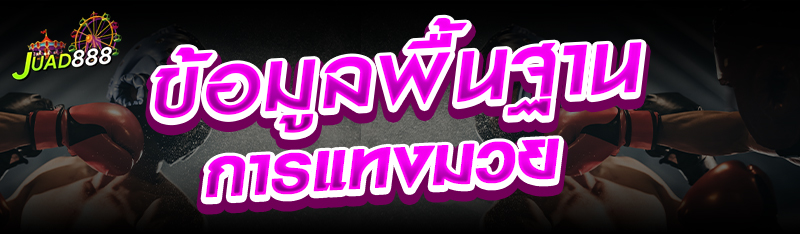 ข้อมูลพื้นฐานการแทงมวย