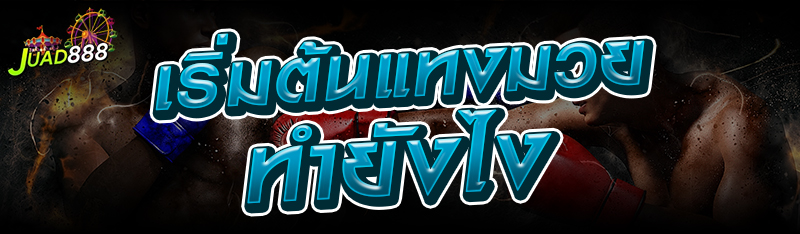 เริ่มต้นแทงมวยทำยังไง